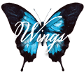 Wings Ministries Inc
